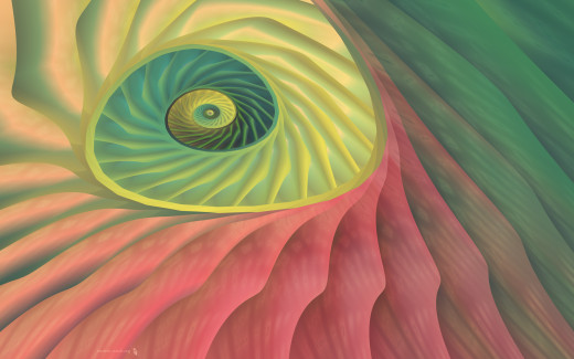 450962 (a): :2560x1600